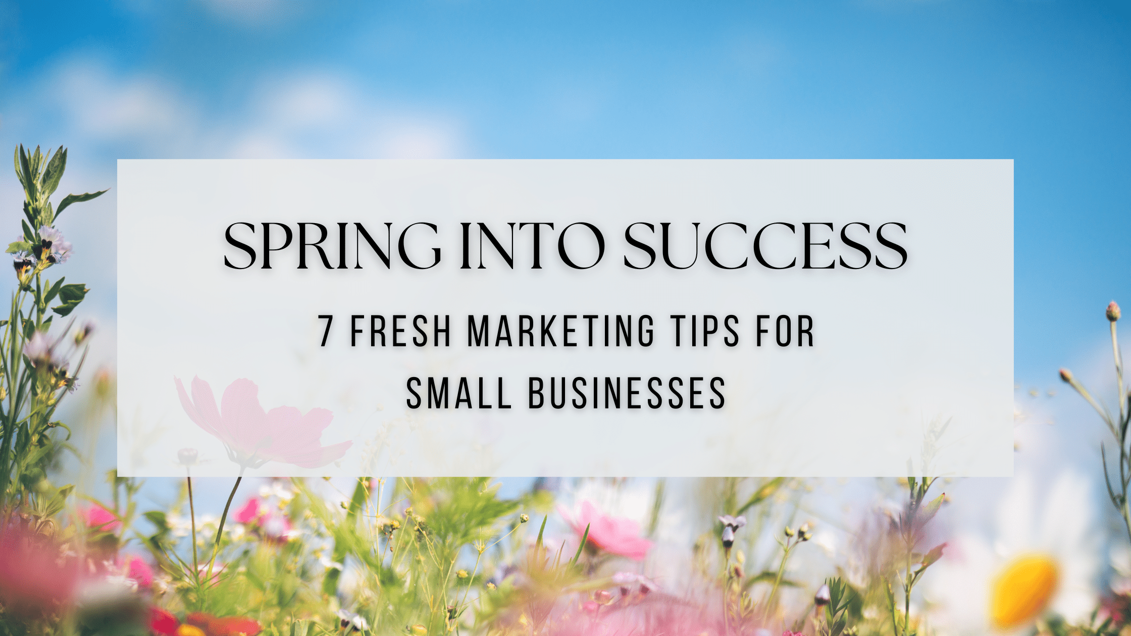 Featured image for “Spring into Success: 7 Fresh Marketing Tips for Small Businesses”